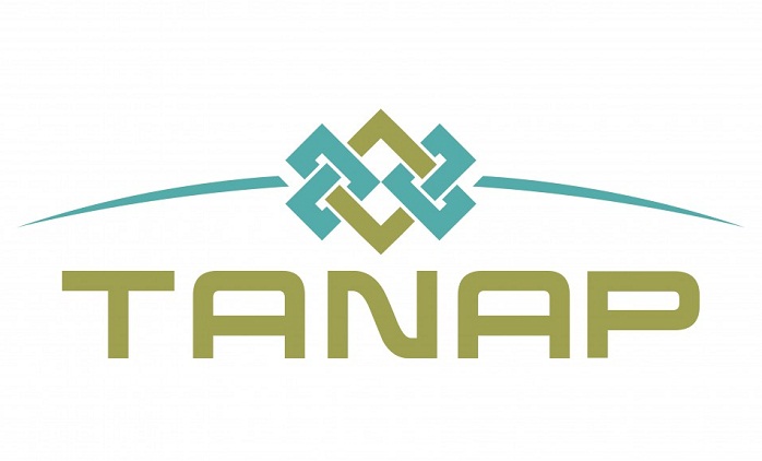 International financial institutions to approve $4 billon loan for TANAP 